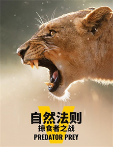 孤独摇滚下剧场