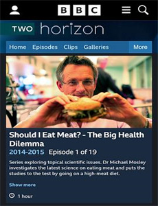 我在皇宫当臣臣第2季