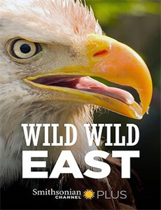 我的战舰能升级