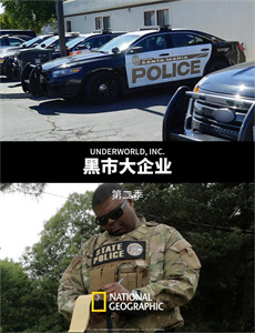 只是未婚妻的关系