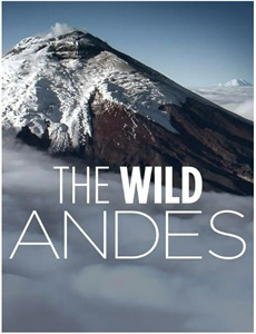 抖音美好奇妙夜2024