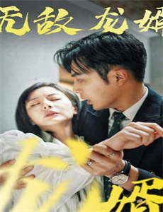 愿我如星君如月第2季