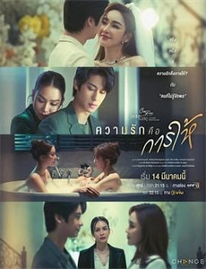 鲁豫有约一日行 第四季