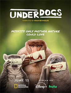 痴汉继母与家庭不伦