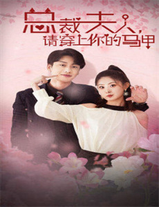 对不起先生轶事