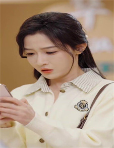 完美先生和差不多小姐越南语版