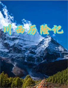 王牌美女特工(2018)