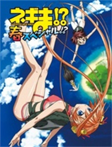 世界冠军养成记