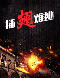 穿越之大小姐的极品家丁