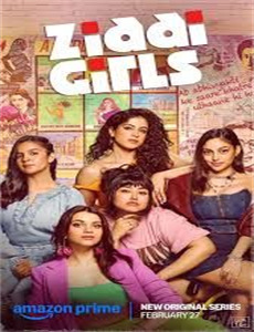 彩虹小马：小马国女孩 第一季