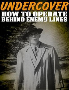 萌宝来袭,疯批爹地跪求复婚