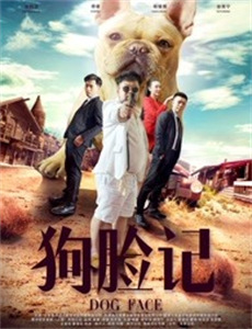 万水千山总是情