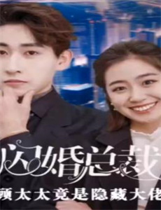 猫头鹰与小飞象