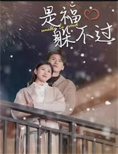 十二生肖之马上就好