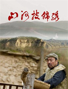 O记实录之湾仔风暴