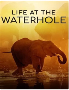 高手下山,走上人生巅峰