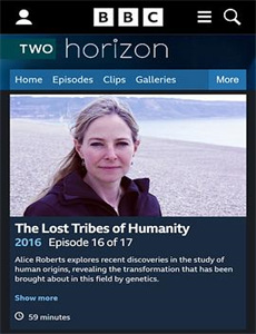 狄仁杰之不死修罗