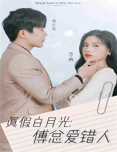 贺少的闪婚暖妻