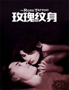 阿尔法男 第一季