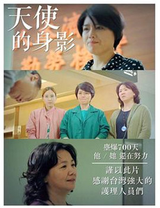 钓系娇娇小美人在修罗场求生