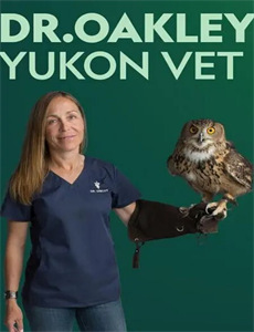 开局落魄女孩华丽逆袭