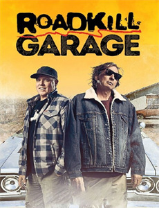 小镇医生的爱情