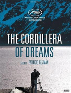 赛小花的远大前程