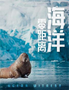 这个王妃太狂野这个王妃超凶猛