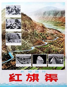 特技女演员:好莱坞秘闻