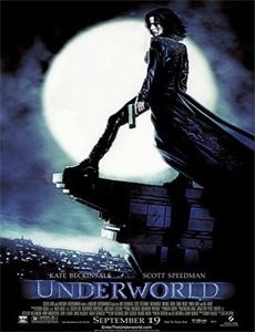 不装了我大小姐