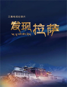 我们窃取秘密维基解密的故事