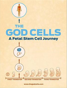 漂亮阿姨的性教育