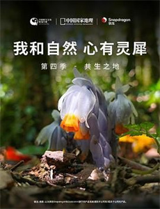 穿到古代去创业